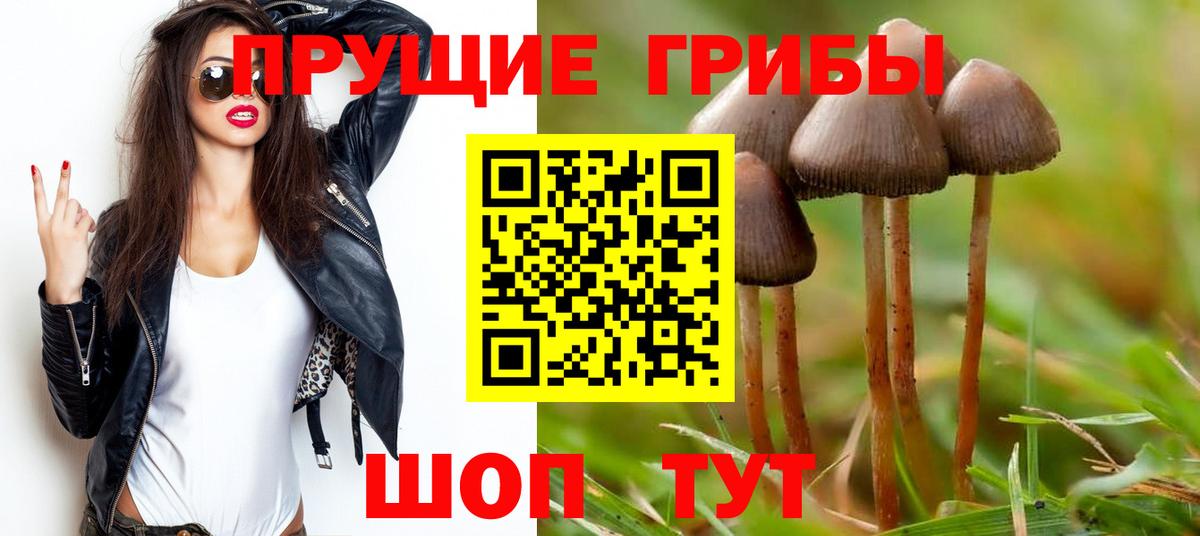 Кемерово  Псилоцибиновые грибы MAGIC MUSHROOMS  Вход с VPN 