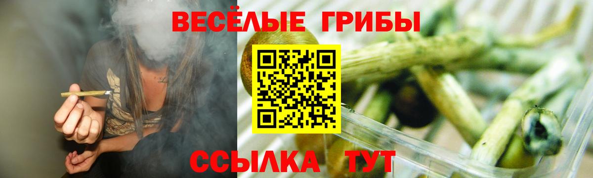 Галлюциногенные грибы ЛСД Кемерово